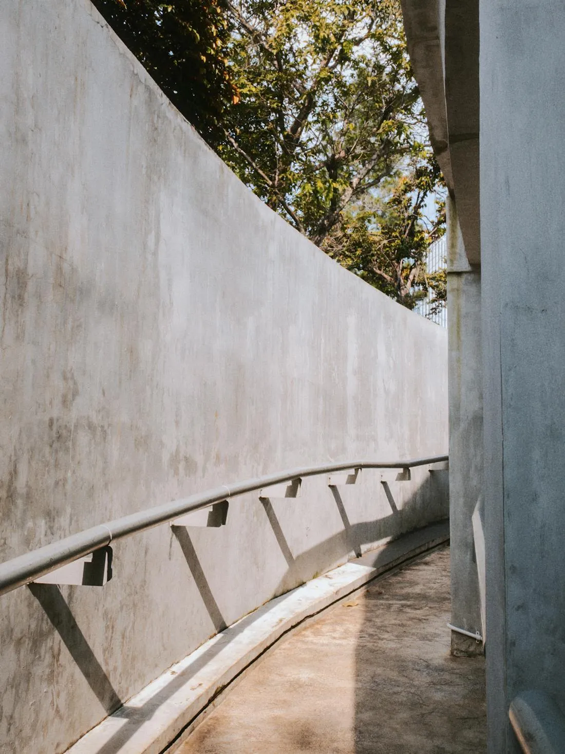 Curved concrete path and side access along a Camberwell garden